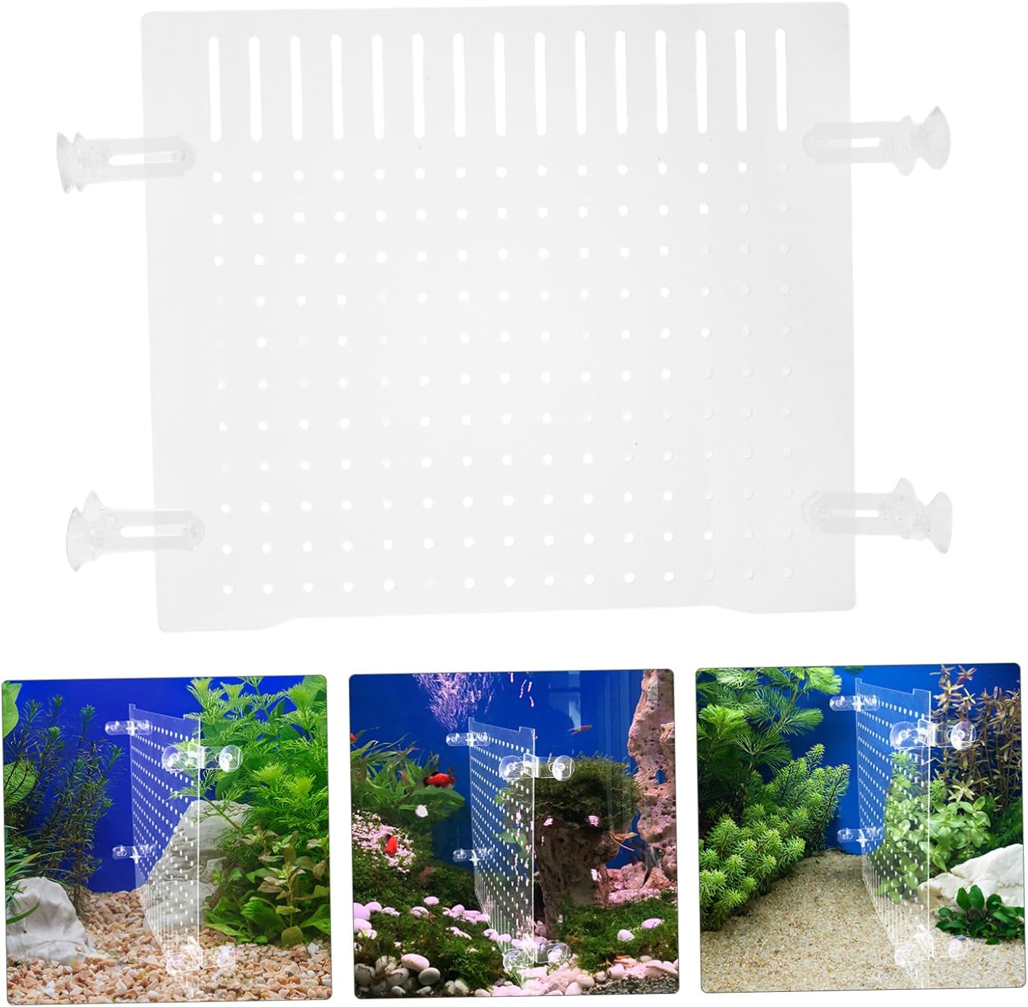 Toddmomy 1 Set Transparent Acrylic Fish Tank Divider Shrimp Isolation Board for Aquarium Safe and Smooth Edges Clear Design for Enhanced Visibility