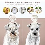 Ver la foto 4