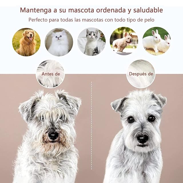 Foto 4 de 7 de KKNE Cepillo para Gatos con Botón para Extraer los Pelos. Cepillo Quitapelos para Pelo Corto y Largo. Peine…