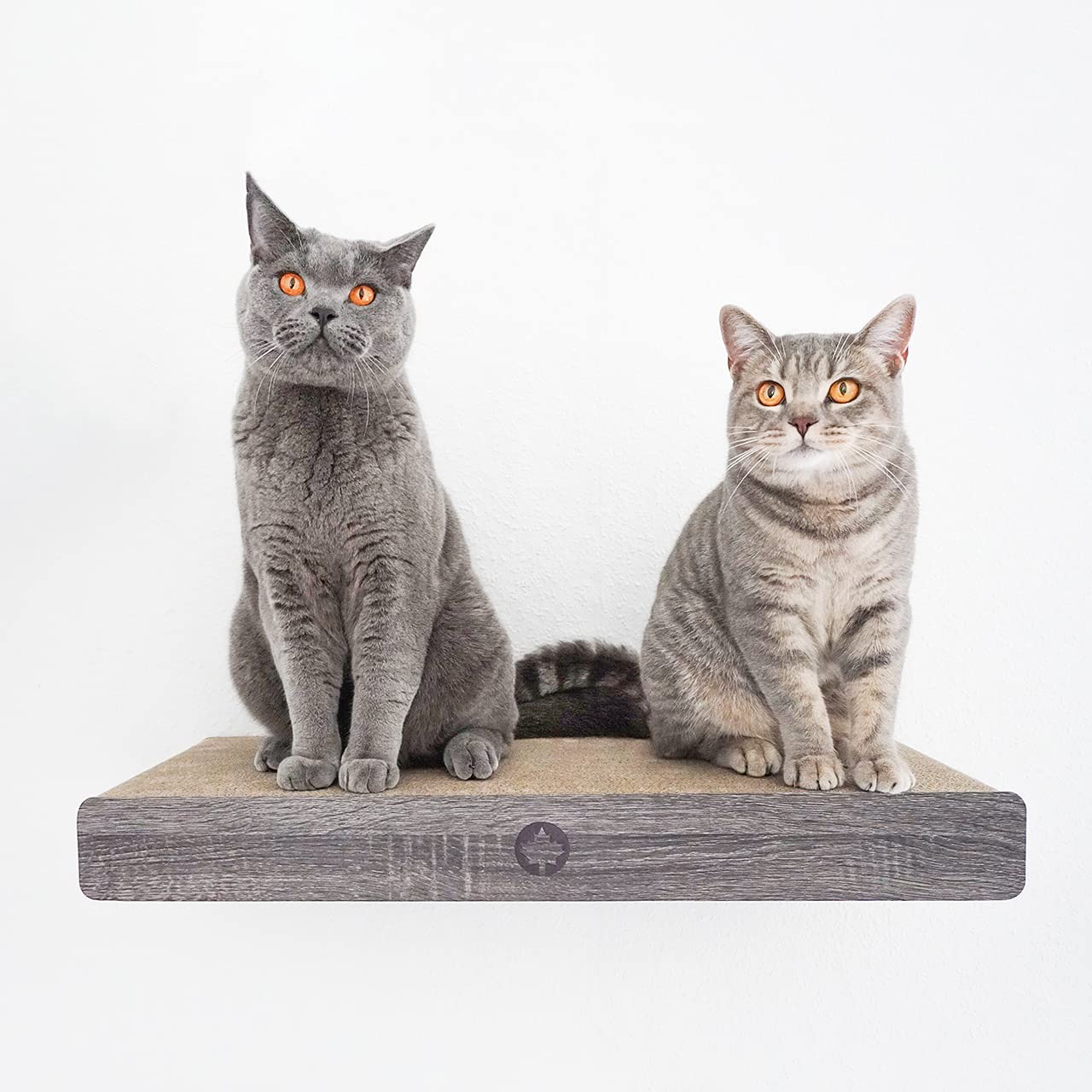 CanadianCat Company | Wandkratzbrett Cloud | dunkelgrau | ca. 70 x 30 x 8 cm | Kletterwand | Wandmontage | Katzenkratzbrett