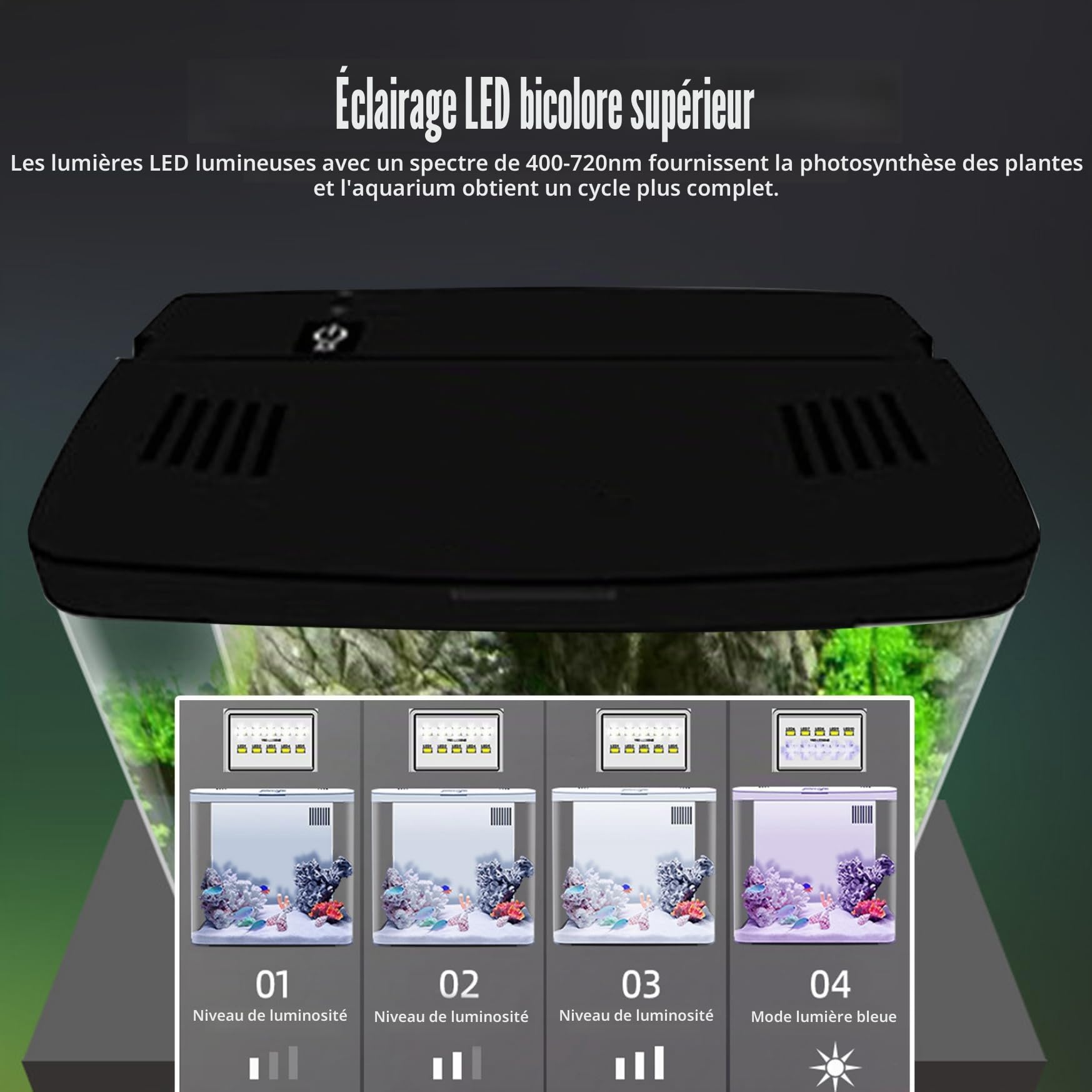 Petit Aquarium Noir 1.3 Gallon Avec Filtre 3 Couches & LED Light - Auto-Nettoyage, Kit de Démarrage Pour Poissons Rouges - Aquarium de Bureau Clair