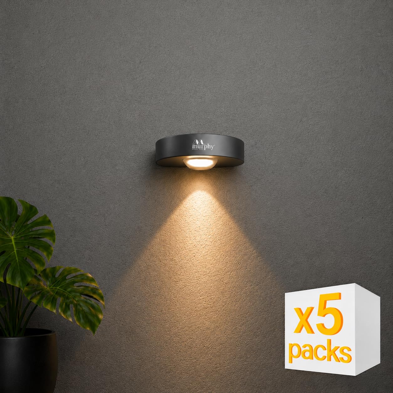 Murphy Areo 1-Way Waterproof LED Wall Light – Warm White, Aluminum Body, 2-Year Warranty, Indoor & Outdoor – Pack of 5