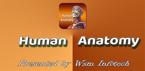 Human Anatomy
