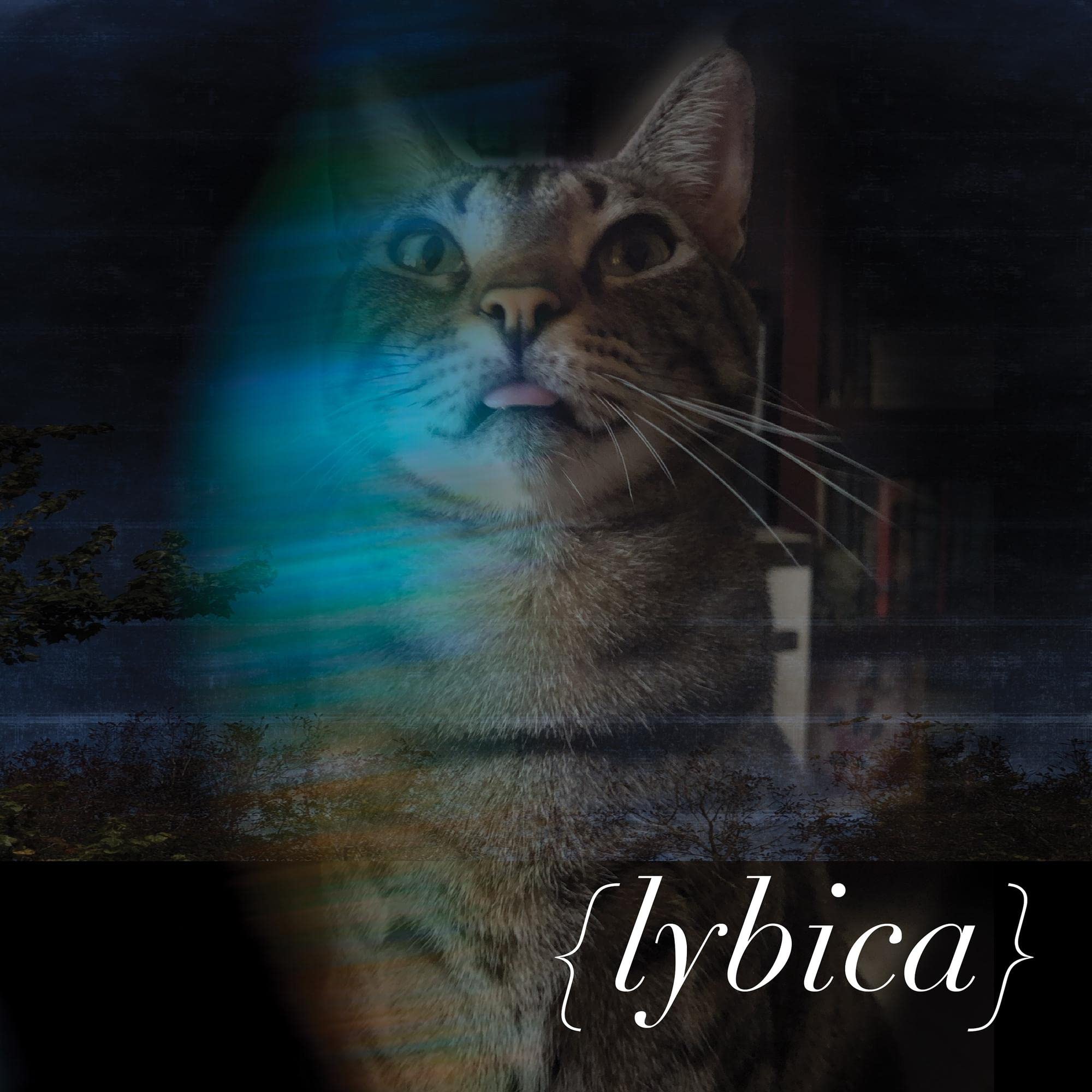 Lybica - Lybica - CD Album - New Sealed