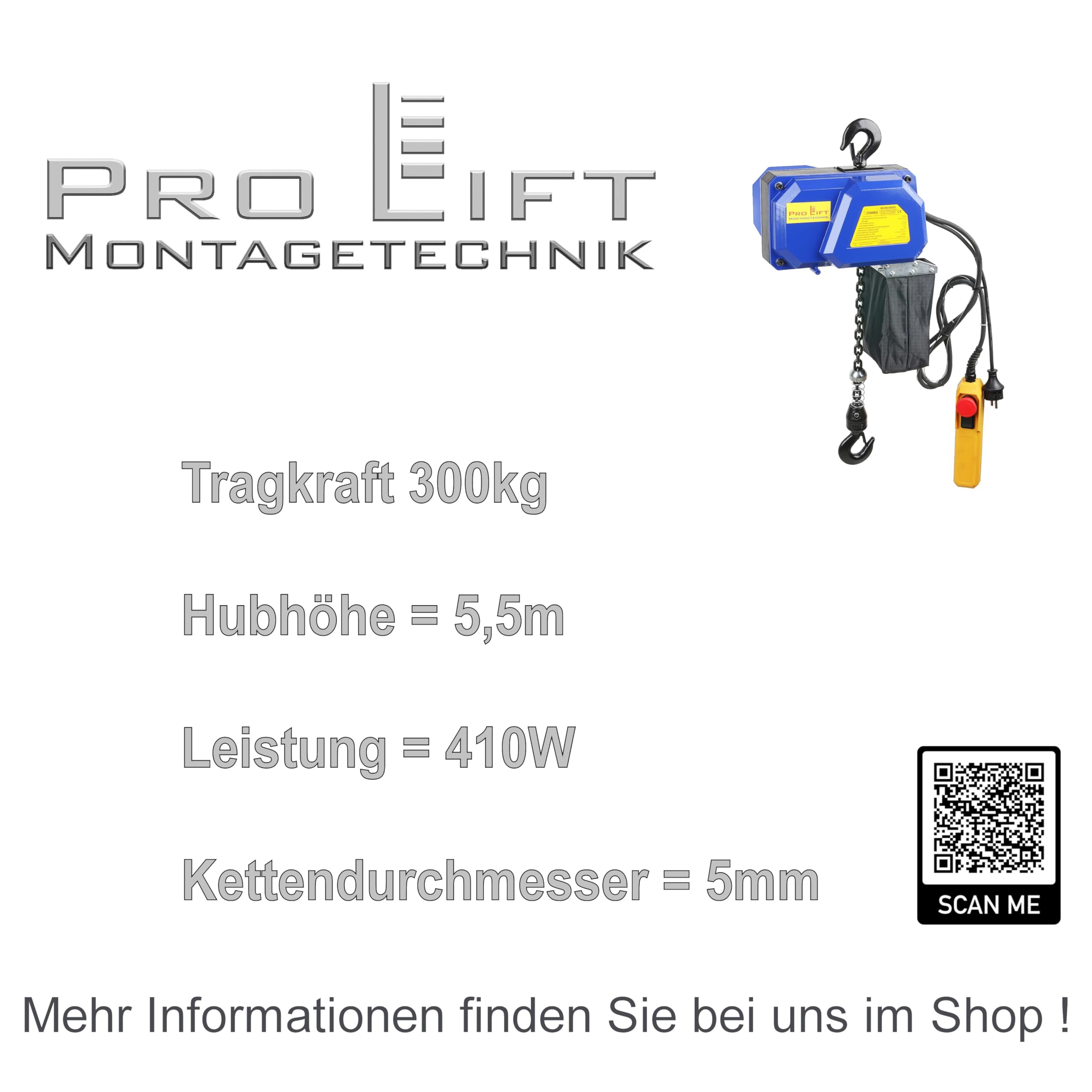 300kg Elektrokettenzug Kettenzug elektrisch 5,5m Hubhöhe 230V, 01341