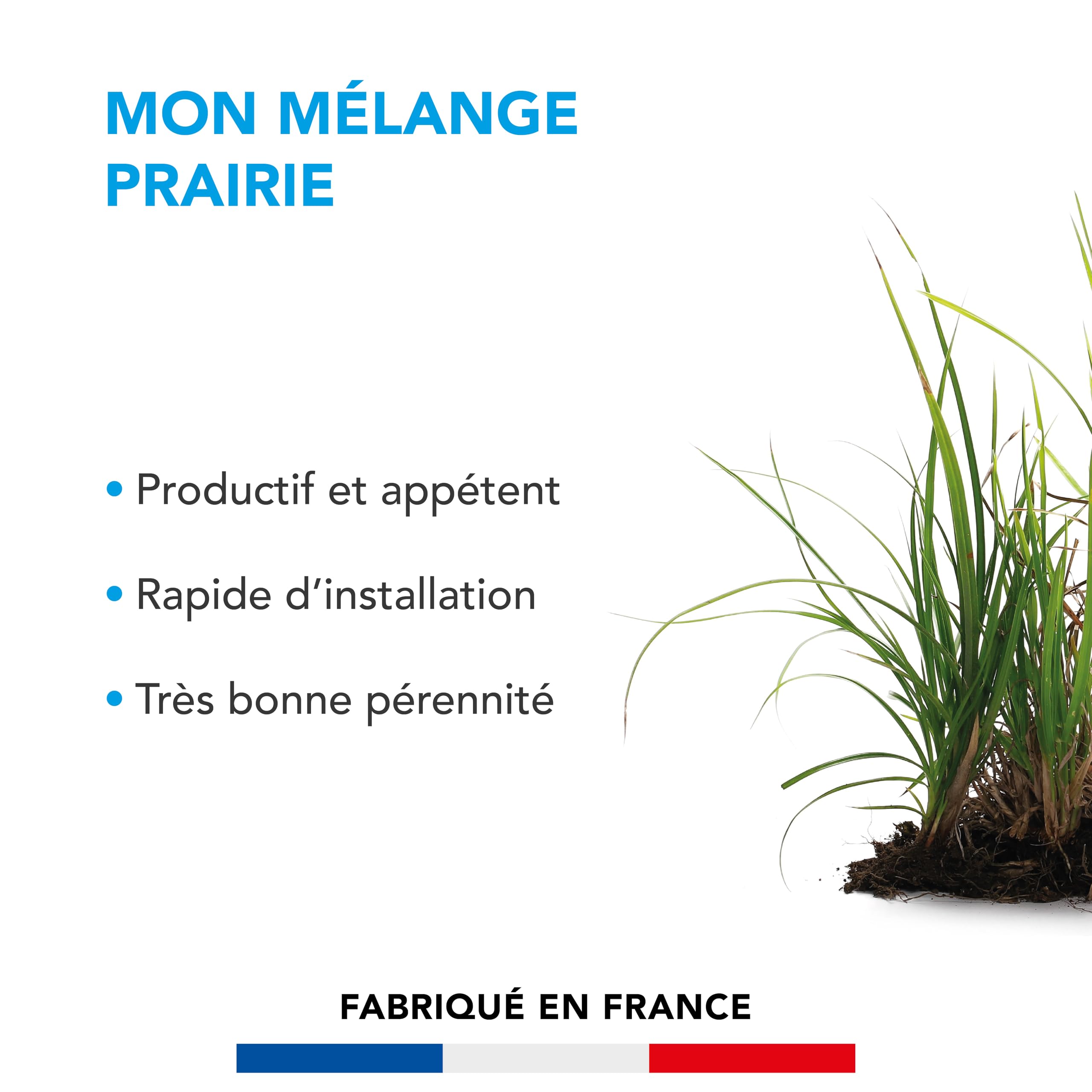 BARENBRUG Mélange Prairie Production Alimentation pour Animaux 1KG
