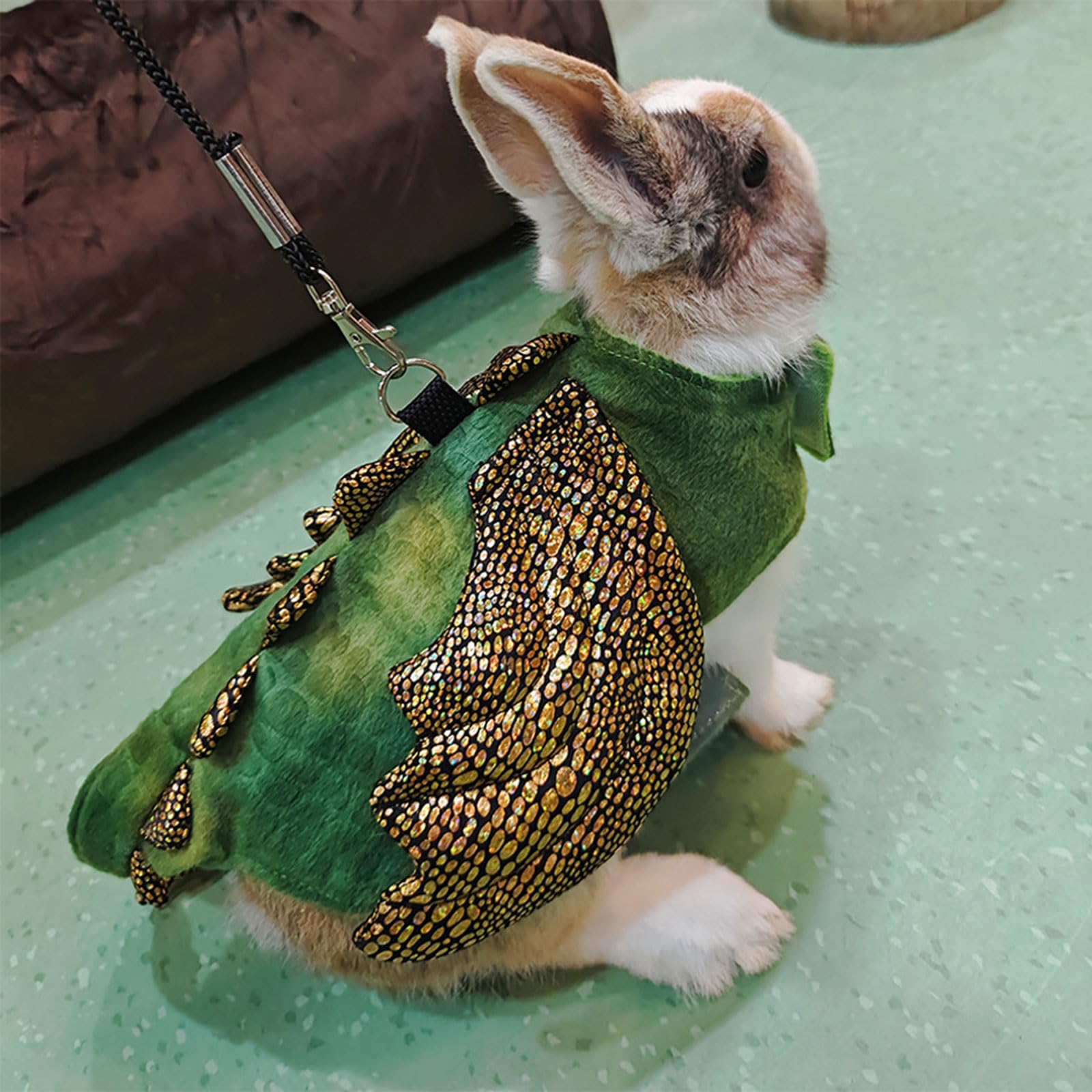 Harnais et laisse pour petit animal - Costume de dinosaure - Vêtements pour cochons d'Inde, hamster, cochon d'Inde