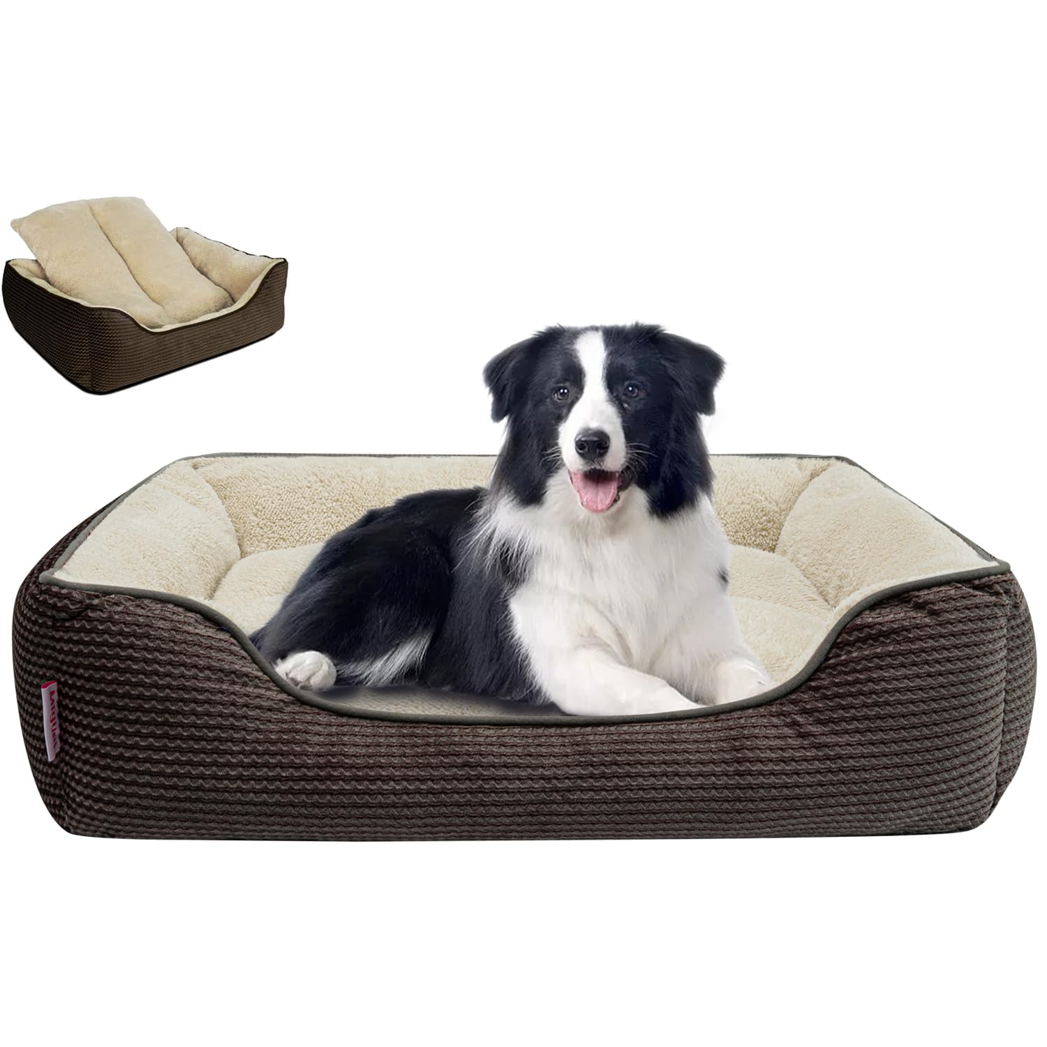 Miguel Dog Bed with Removable Cushion/Pillow for Medium Small Dogs, Washable Pet Bed with Side Easy to Wash Puppy Bed, Large Rectangle Cat Bed for