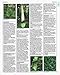 Royal Horticultural Society A-Z Encyclopedia of Garden Plants (RHS)