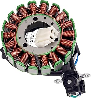 RatscH Motorcycle Generator Stator Coil Comp Compatible With YAMAHA YS250 YBR250 YS YBR 250 5D1-H1410-00-00 5D1-H1410-01-00