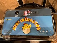 Review Image by Frank Zhang Frank Zhang