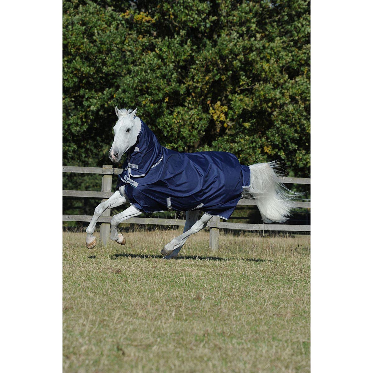 Bucas Freedom Turnout Light Full Neck - Navy