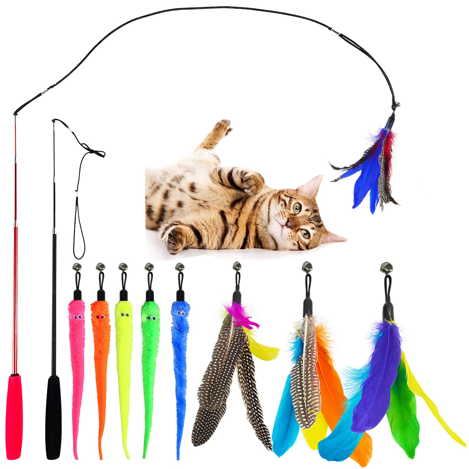 retractable cat wand