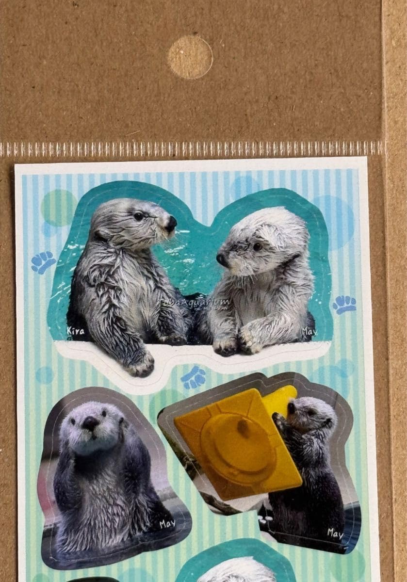 Amazon | 鳥羽水族館 限定 ラッコ ステッカー メイキラ メイ