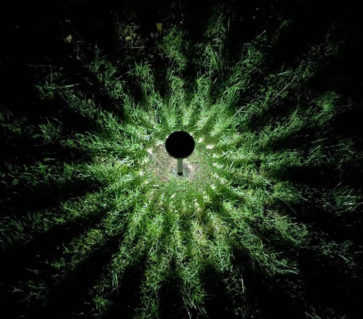 Generic Solar Powered Projection Light, Ground Stake, Cool White, 35 mA, Set of 2