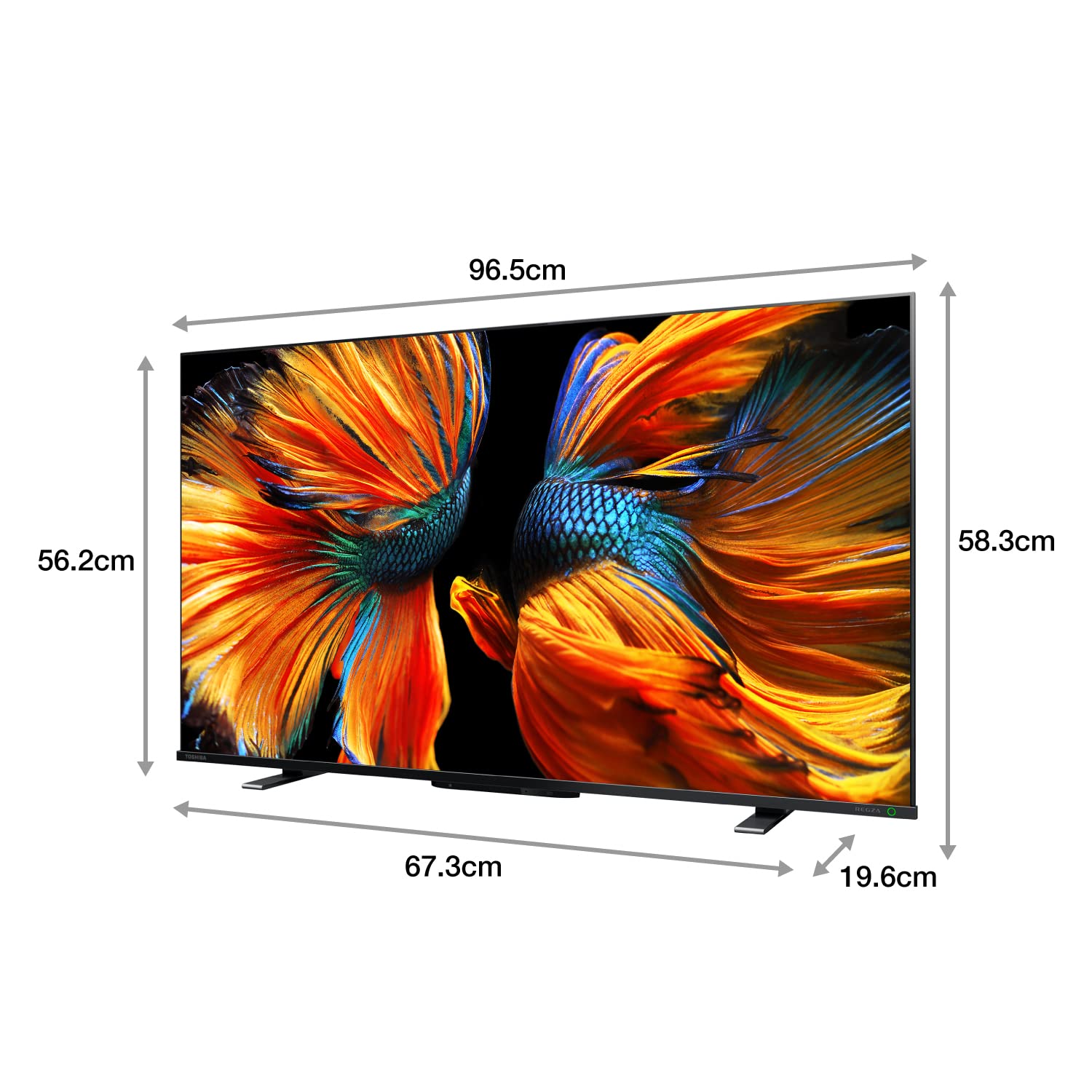 Amazon | REGZA 43インチ 4K液晶テレビ 43Z570K 倍速パネル搭載 - テレビ