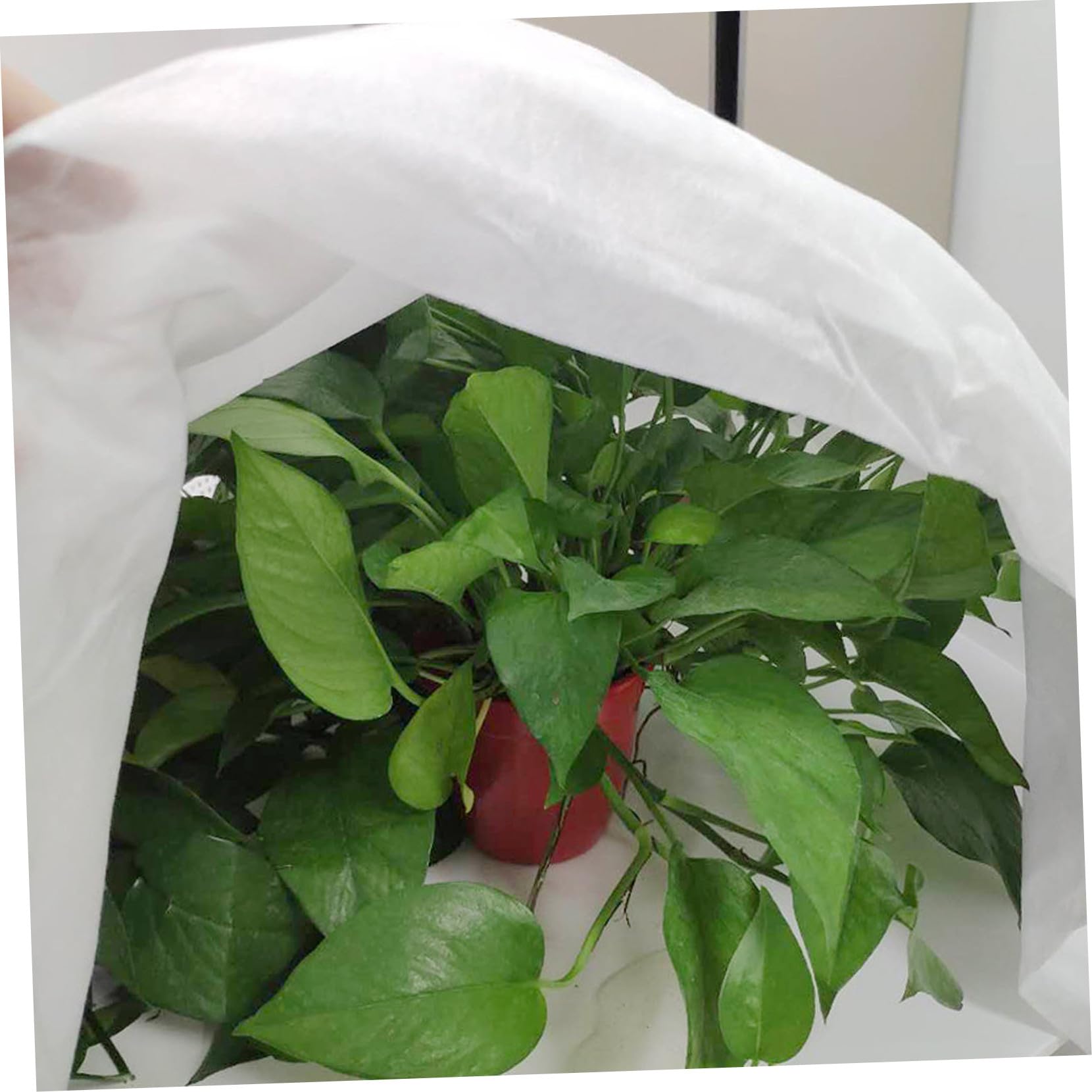 GALPADA Telo Protettivo per Piante in Tessuto Non Tessuto Copertura Antigelo Protezione Invernale per Piante da Giardino Adatto per Pomodori Peperoni Zucche Fragole e Arbusti