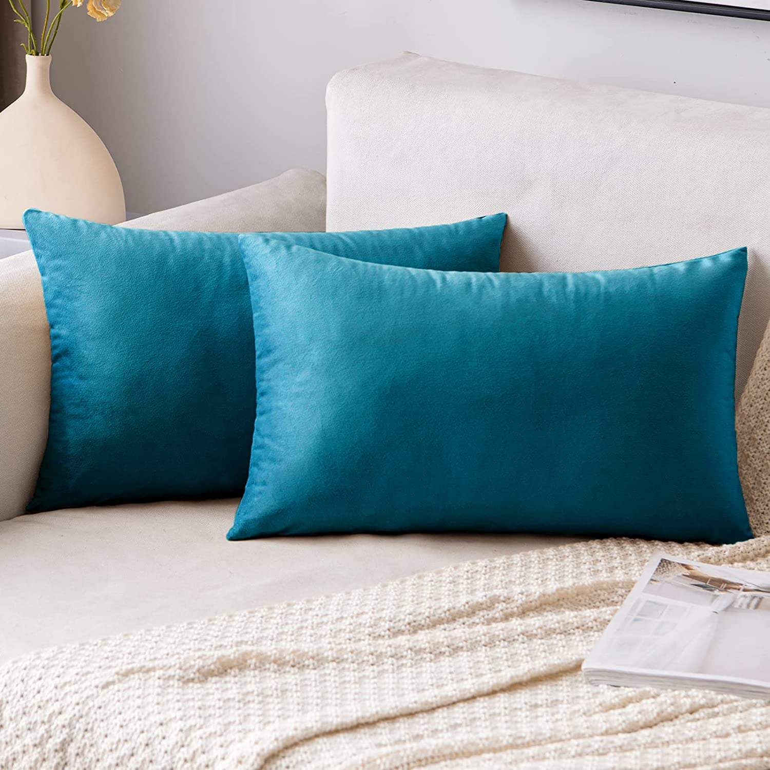SNOCKERS Pack of 2, Velvet Soft Solid Decorative Rectangular Throw Pillow Covers Set Cushion Case for Sofa Bedroom Car 12 x 18 Inch (Light Blue) (B0C5N1PZPZ) Amazon Price History, Amazon Price Tracker