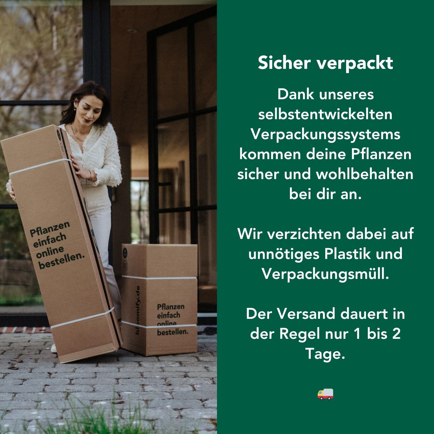 Bloomify® Balkon-Feigenbaum "Flavio" | 80 bis 100 cm großer winterharter Feigenbaum | ertragreiche und pflegeleichte Feige für Garten oder Topf | besonders süße, leckere Früchte | selbstbefruchtend