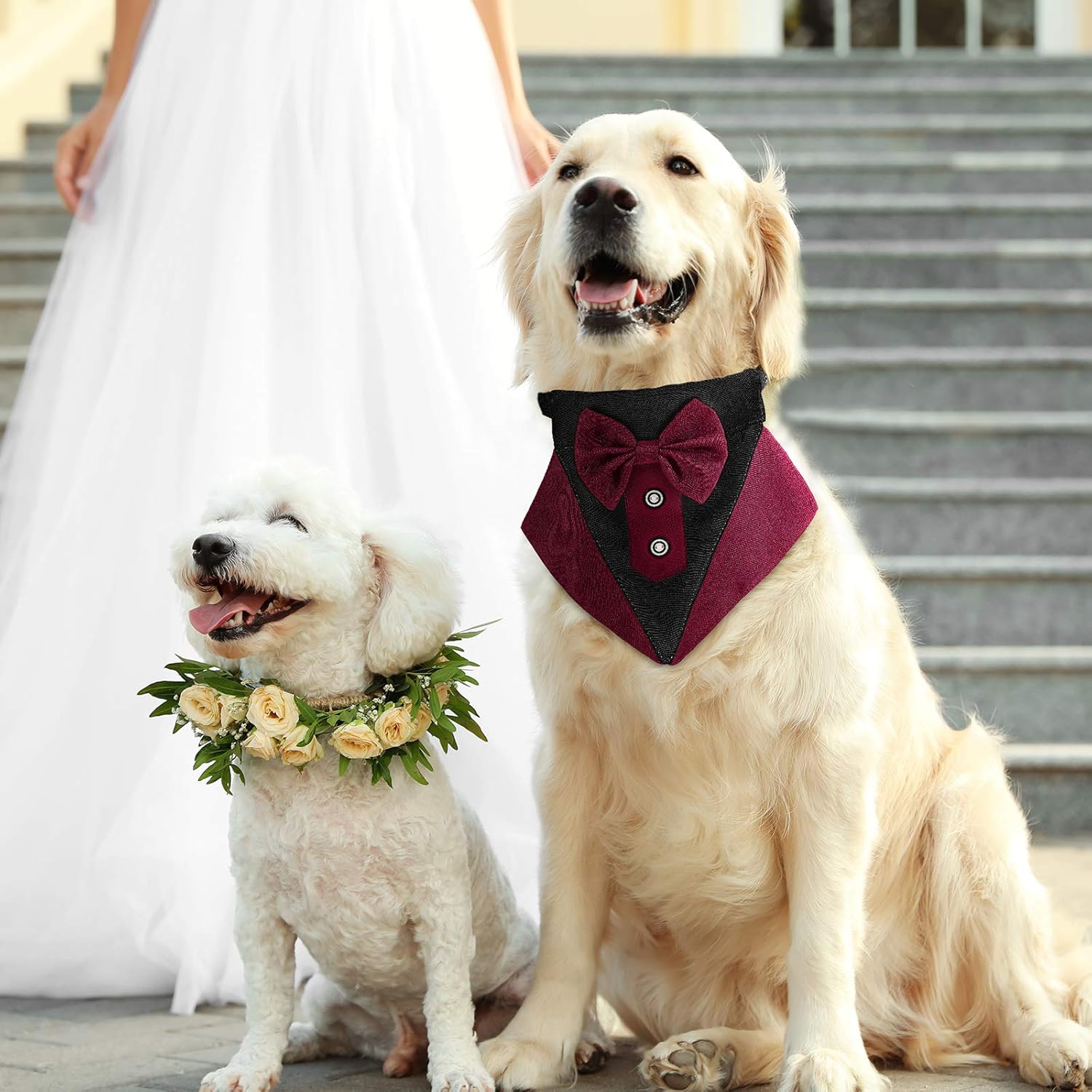 Formal Dog Tuxedo Bandana Dog Wedding Bandana Dog Collar with Bow Tie and Neck Tie Designs Adjustable Black Collar Formal Tux Dog Bowtie Adjustable Neckerchief (Wine Red,M) : Pet Supplies