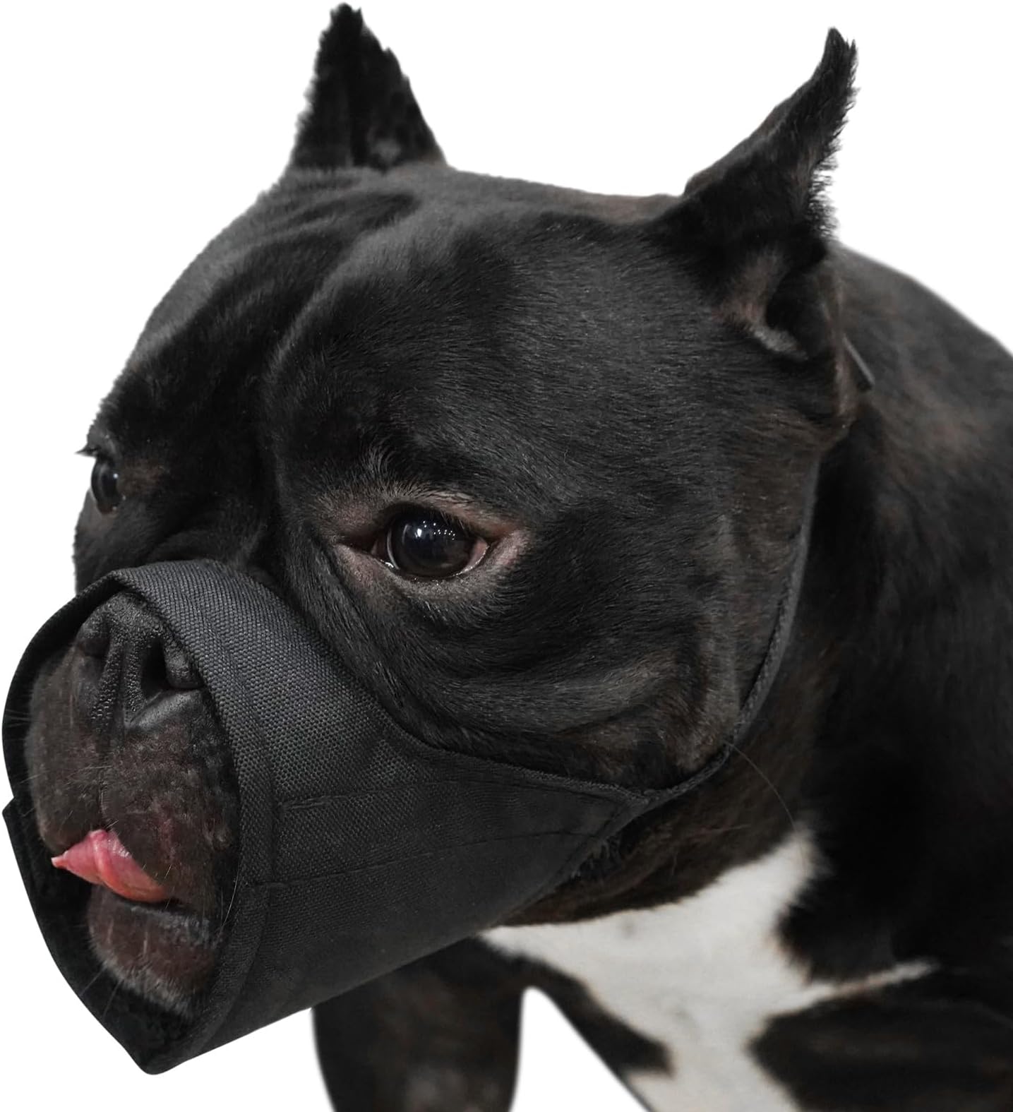 Mayerzon Short Snout Dog Muzzle for Small Medium Large Dog, Soft Muzzle for Chihuahua Shih Tzu American Bulldog for Grooming, Sturdy Oxford Mouth Guard Anti Biting Chewing