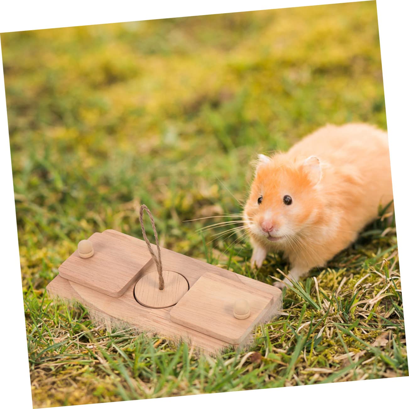 FOMIYES Jouet pour Hamster à Friandises, Lot de 2 en Bois pour Exploration