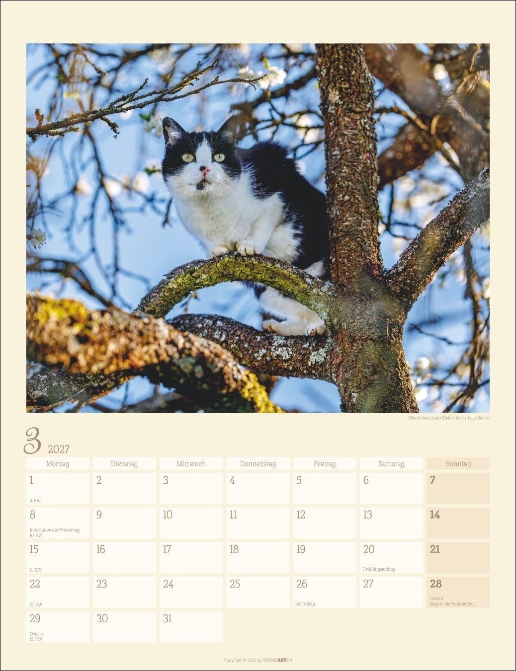 Katzen auf dem Lande Kalender 2027: Süße Kätzchen in ländlicher Idylle: Ein Foto-Kalender zum Dahinschmelzen. Planer mit Platz zum Eintragen. Hochformat 30 x 39 cm