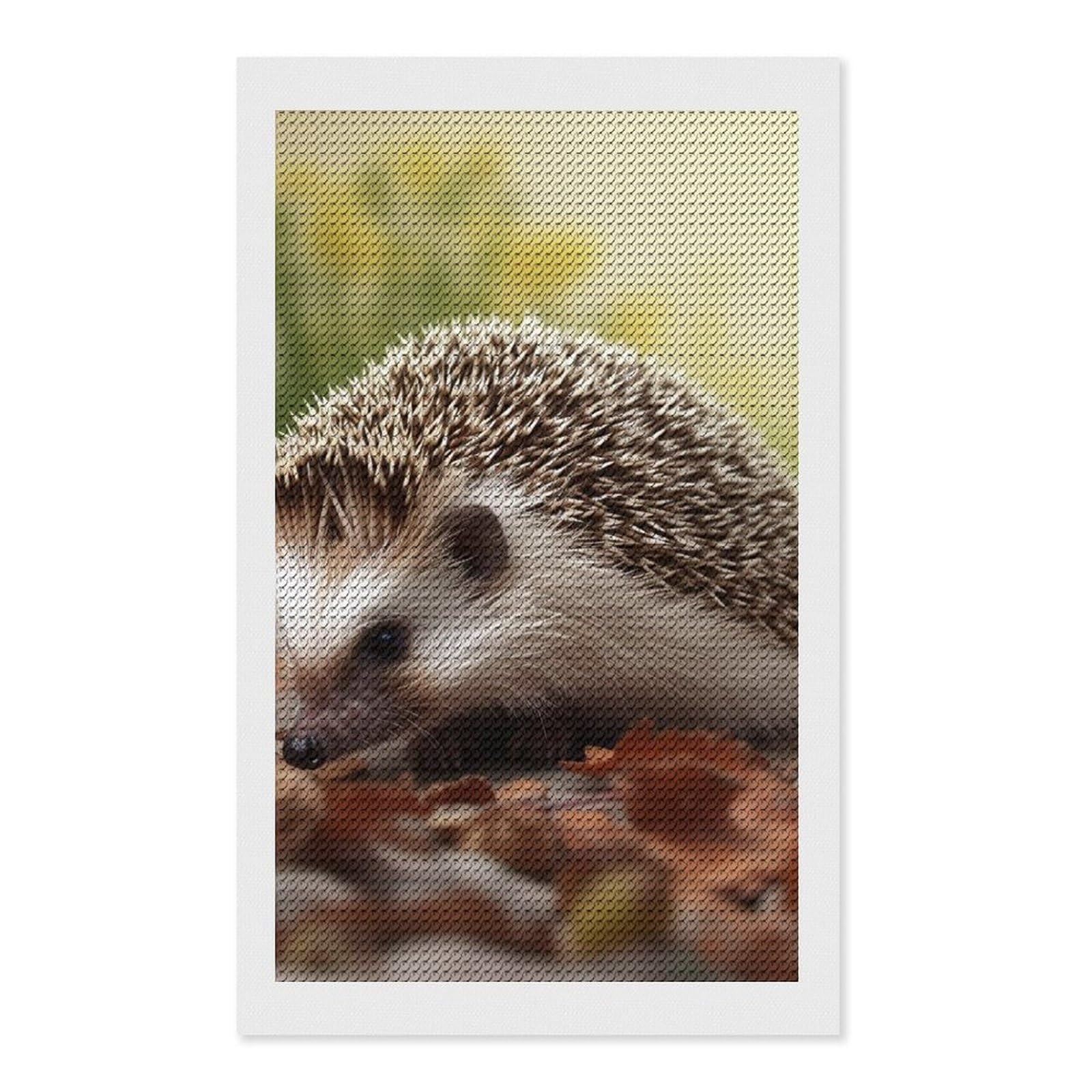 Hedgehog Diamond Art Kits for Adults, DIY 5D Diamonds Painting Kits for Beginner, Round Full Drill Diamond Dots Painting, Diamonds Pictures Gem Art and Crafts Wall Decor 12"x20"