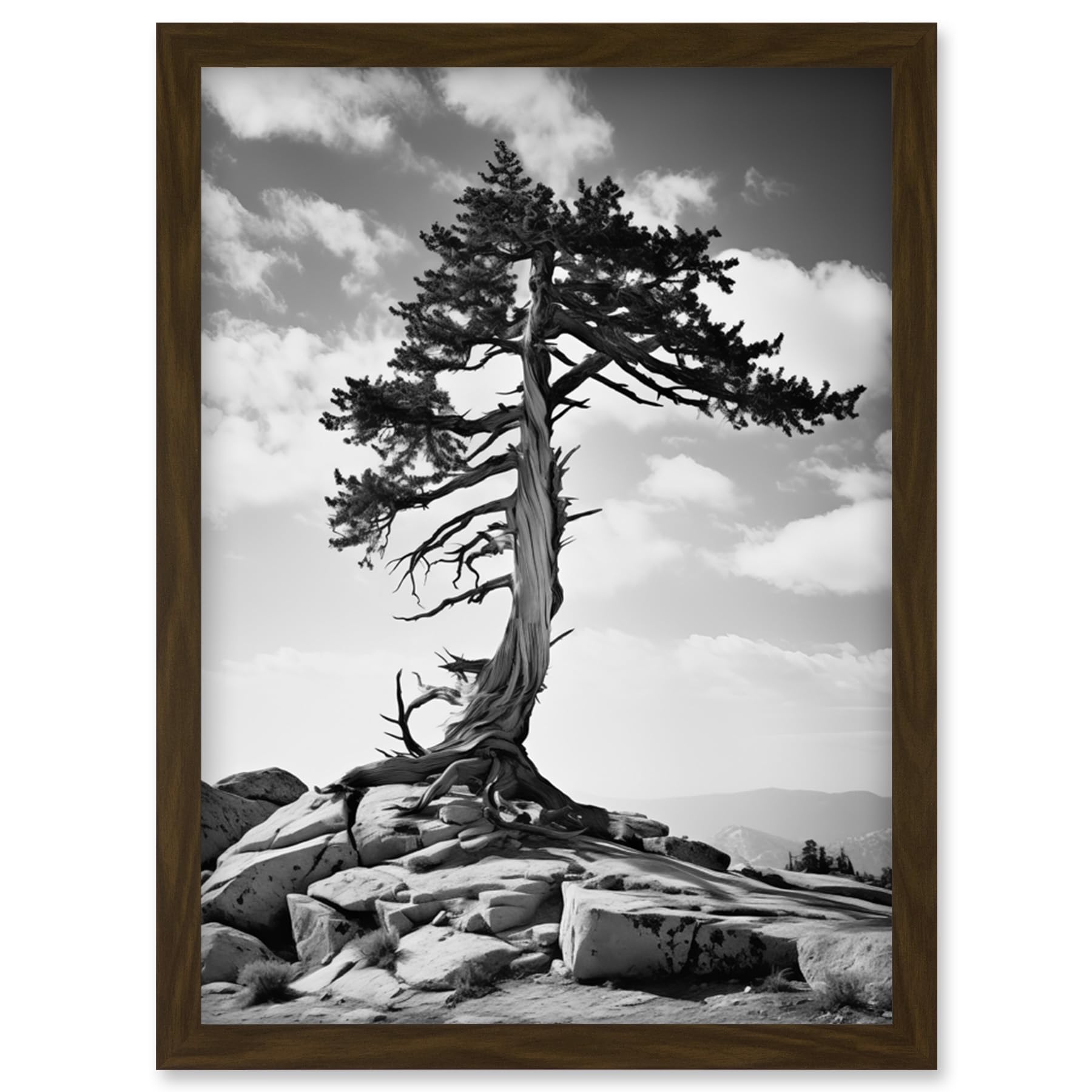 Artery8 Weathered Jeffrey Pine Standing on a Rocky Hill Black and White Photograph Lone Tree Artwork Framed Wall Art Print A4