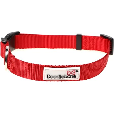 doodlebone padded collar