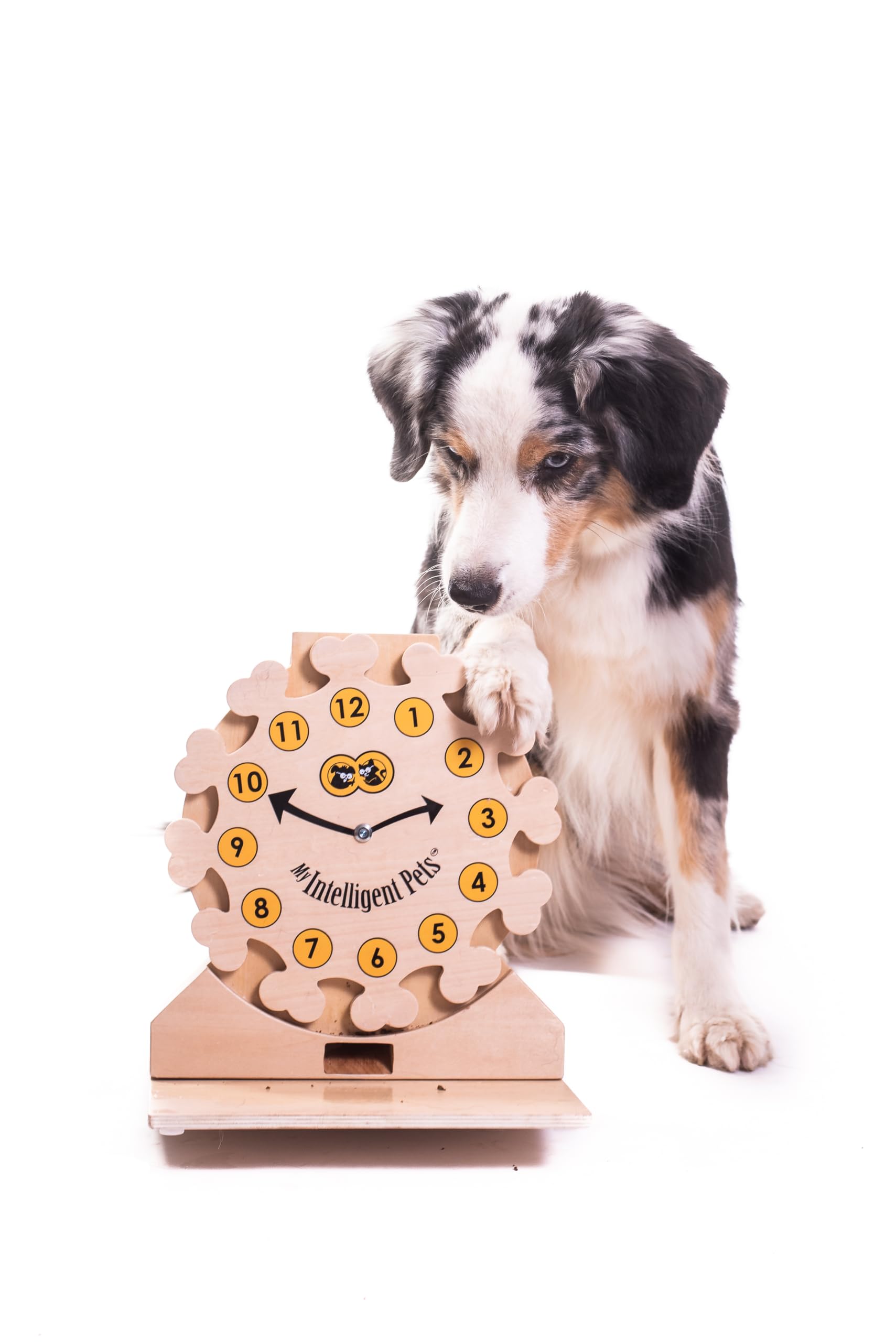 My Intelligent Dogs Juguete Interactivo para Perros Inteligencia - Juguete de Inteligencia para Perros y Gatos - Juguete Interactivo para Perros y Gatos - Juegos de Pensamiento para Perros - Reloj