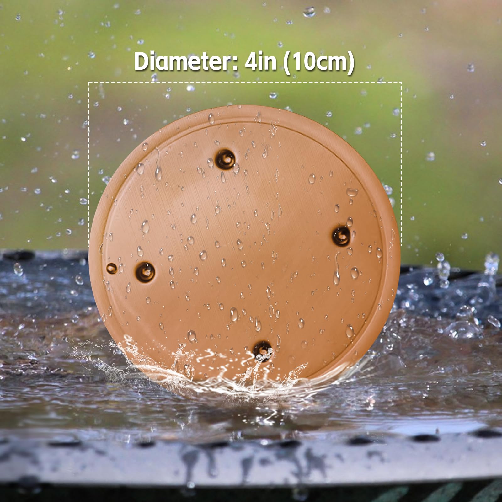Lot de 6 disques de purification pour bain d'oiseaux, 99,99 % cuivre pur, 0,6 mm, garde l'eau propre et fraîche pour intérieur extérieur, jardin, cour, terrasse