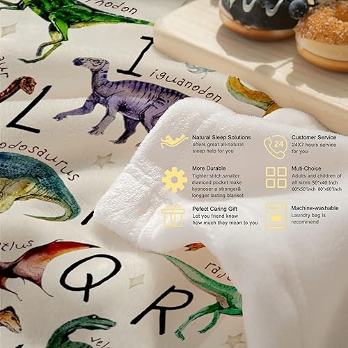 Miniatura 7 de Manta con diseño del alfabeto de dinosaurios, de franela, ligera, suave y acogedora, ropa de cama para niños y adultos, sofá, dormitorio,