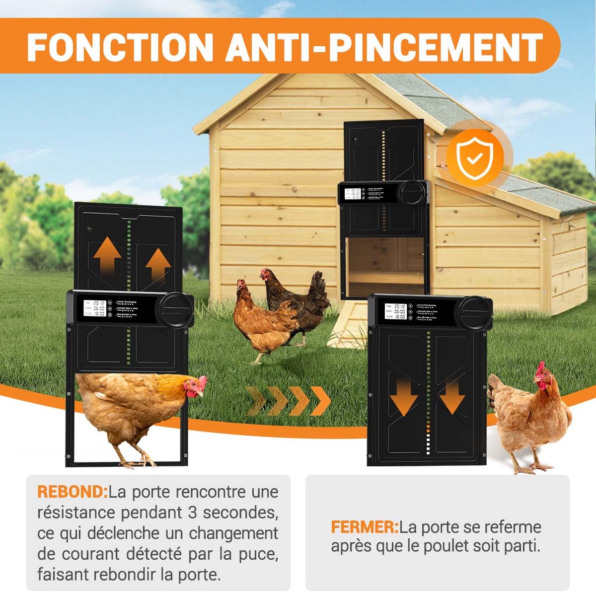 Porte Automatique Poulailler - Grande avec Minuterie du Matin/Soir, Porte Poulailler Automatique en Alliage d'aluminium, Porte Poulailler Anti-pincement Fonctionne à Piles