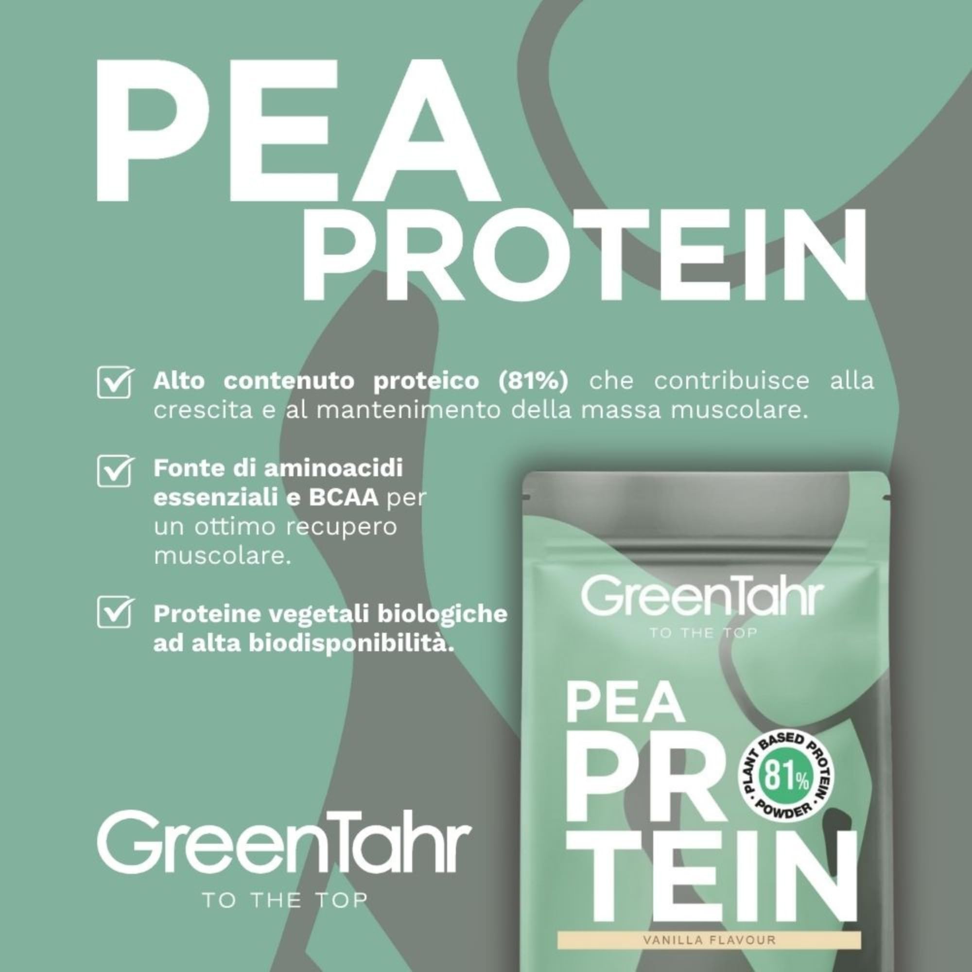 Green Tahr Proteine del Pisello in Polvere Bio al Gusto di Vaniglia 750g. 81% Proteine Vegane Vegetali per Aumento Massa Muscolare e Dimagrire. Senza Zucchero Aggiunto, Lattosio né Glutine
