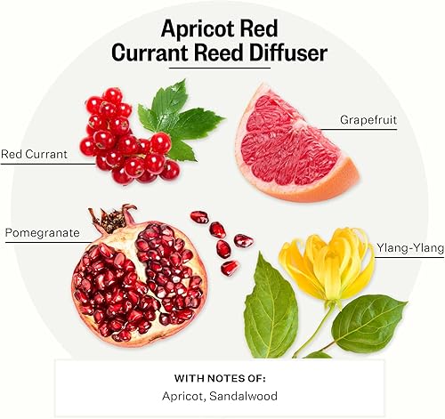 Miniatura 2 de Apotheke Difusor de varillas de aceite perfumado de lujo para el hogar (roble tonka) - Juego de difusor de fragancia para el hogar con varillas