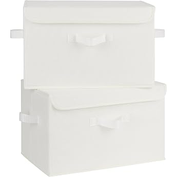 GRANNY SAYS Storage Boxes with Lid Pack of 2 Boxes Storage with Lid