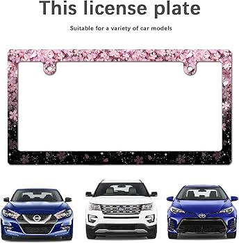 【高級額装】シャガール　ナンバー入り 71NEeRGOhLL._AC_UF350,