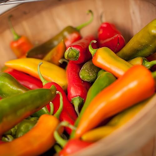 Miniatura 56 de Back to the Roots - Paquete de semillas 100% orgánicas de ají poblano de 0.005 onzas Ají 'Poblano' 140mg,Frijol 'cera dorada' 0.30 oz,Frijol