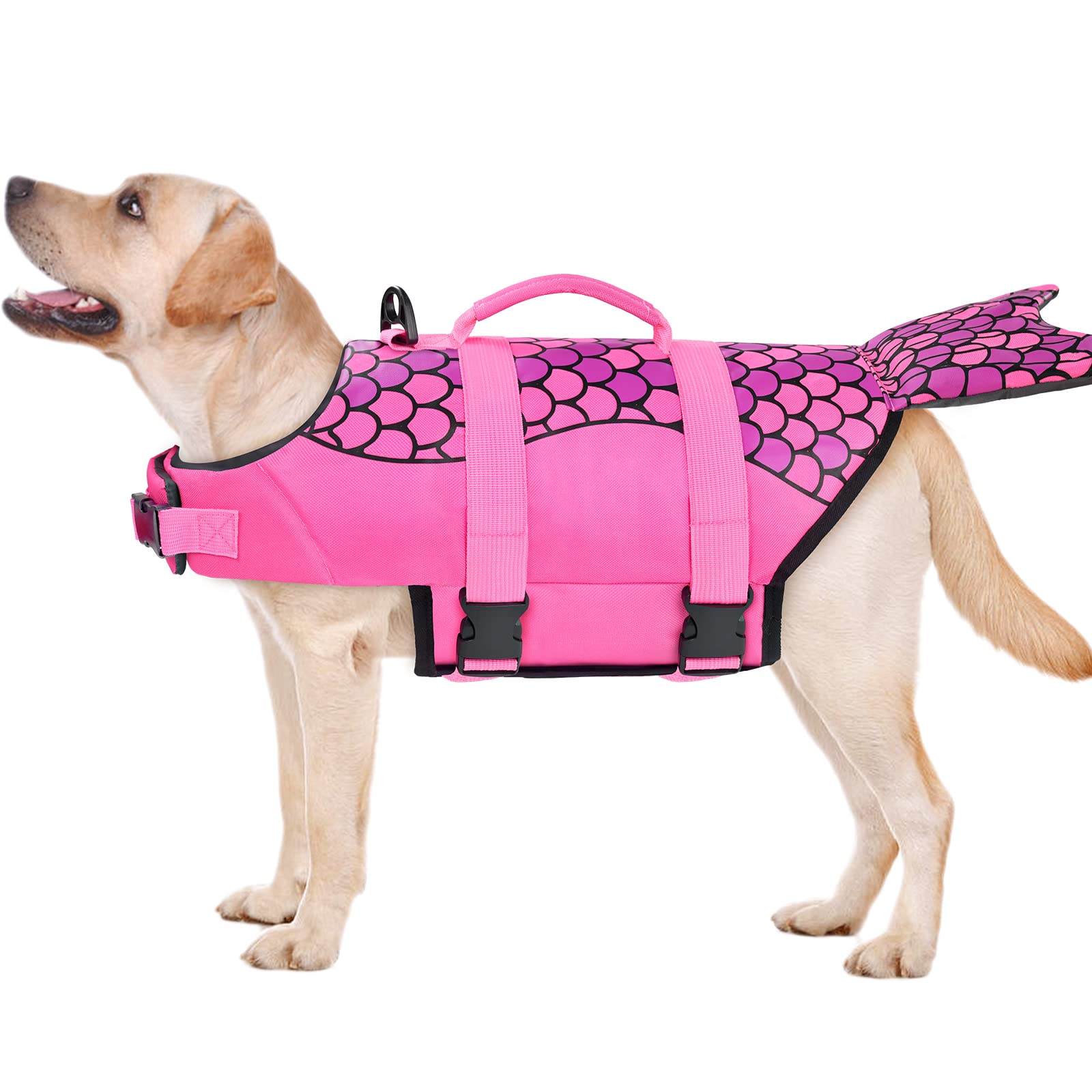 Photo 1 of Malier Dog Life Jacket, Ripstop Dog Life Vest with High Buoyancy for Swimming Boating, High Visibility Shark Puupy Lifesaver for Small Medium Large Dogs (Pink #1, X-Large)