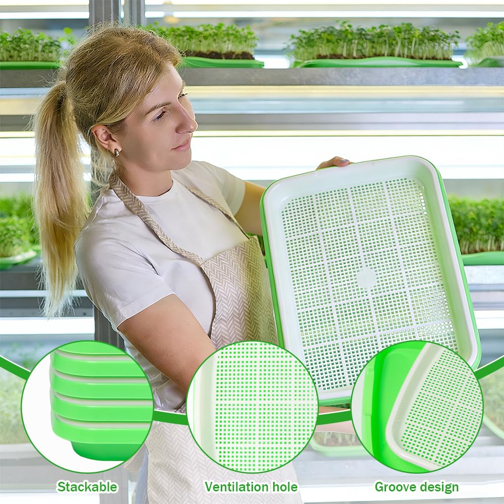 6 Piezas Bandeja de Germinación de Semillas 32.5x24.5x4.5cm Bandejas para Germinar Brotes Germinador Semillas de PláStico para Cultivo de Frijoles Mungo Alfalfa y Hierba de Trigo
