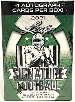 1995 OFFICIAL FOOTBALL CARDS バッジョ 1995 OFFICIAL FOOTBALL CARDS バッジョ 1995 OFFICIAL FOOTBALL