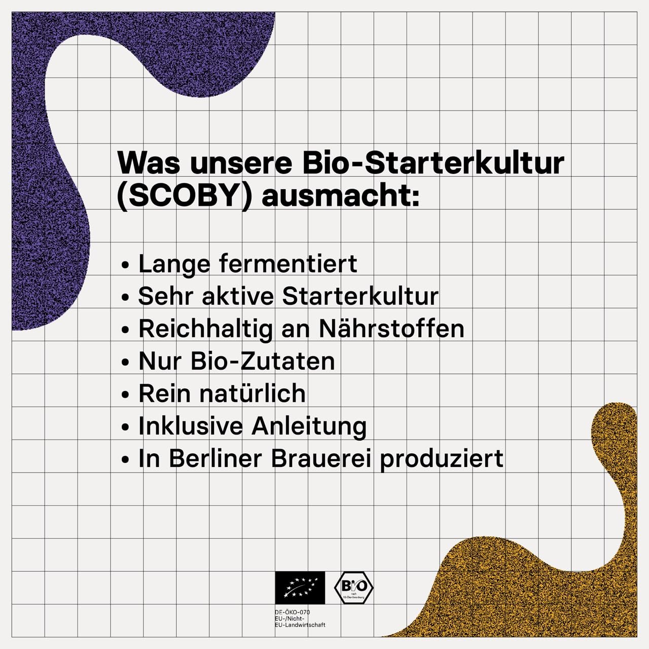 Kombucha Brewing Kit Bio, Kombucha Starter Set mit Bio-SCOBY Starterkultur und Kombucha Pilz, Gärgefäß, Bügelflasche, BioRohrohrzucker und Glasstrohhalm, handgefertigt, vegan, glutenfrei, laktosefrei