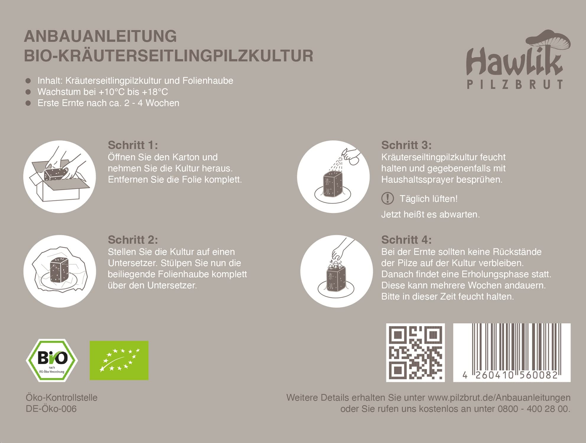 Hawlik Pilzbrut- XXL set de cultivo de setas a base de hierbas orgánicas para el cultivo de su propio (lat. Pleurotus eryngii) - crecer sus propias setas orgánicas