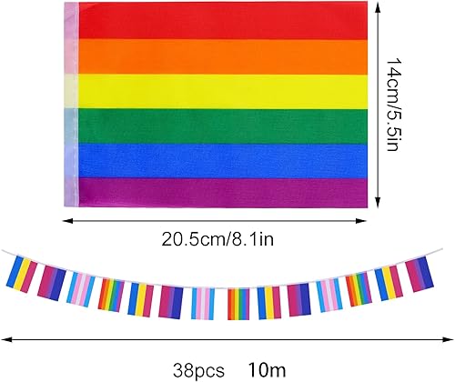 Miniatura 2 de Jmkcoz Banderas de cuerda de arcoíris surtidas, 76 unidades, banderines de orgullo gay LGBTQ para pansexualidad, bisexualidad, transgénero, desfiles