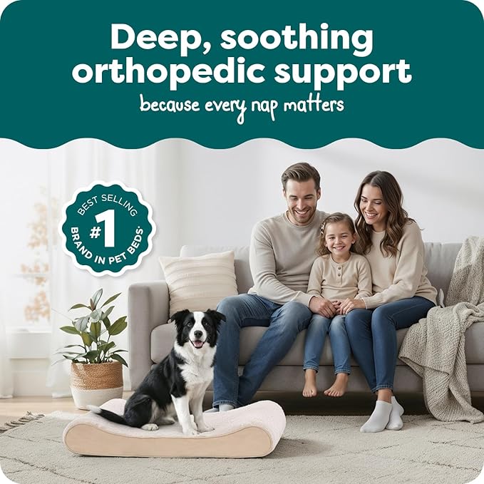 Cama Ortopédica para Perro Grande Colchoneta Lavable miniatura 2