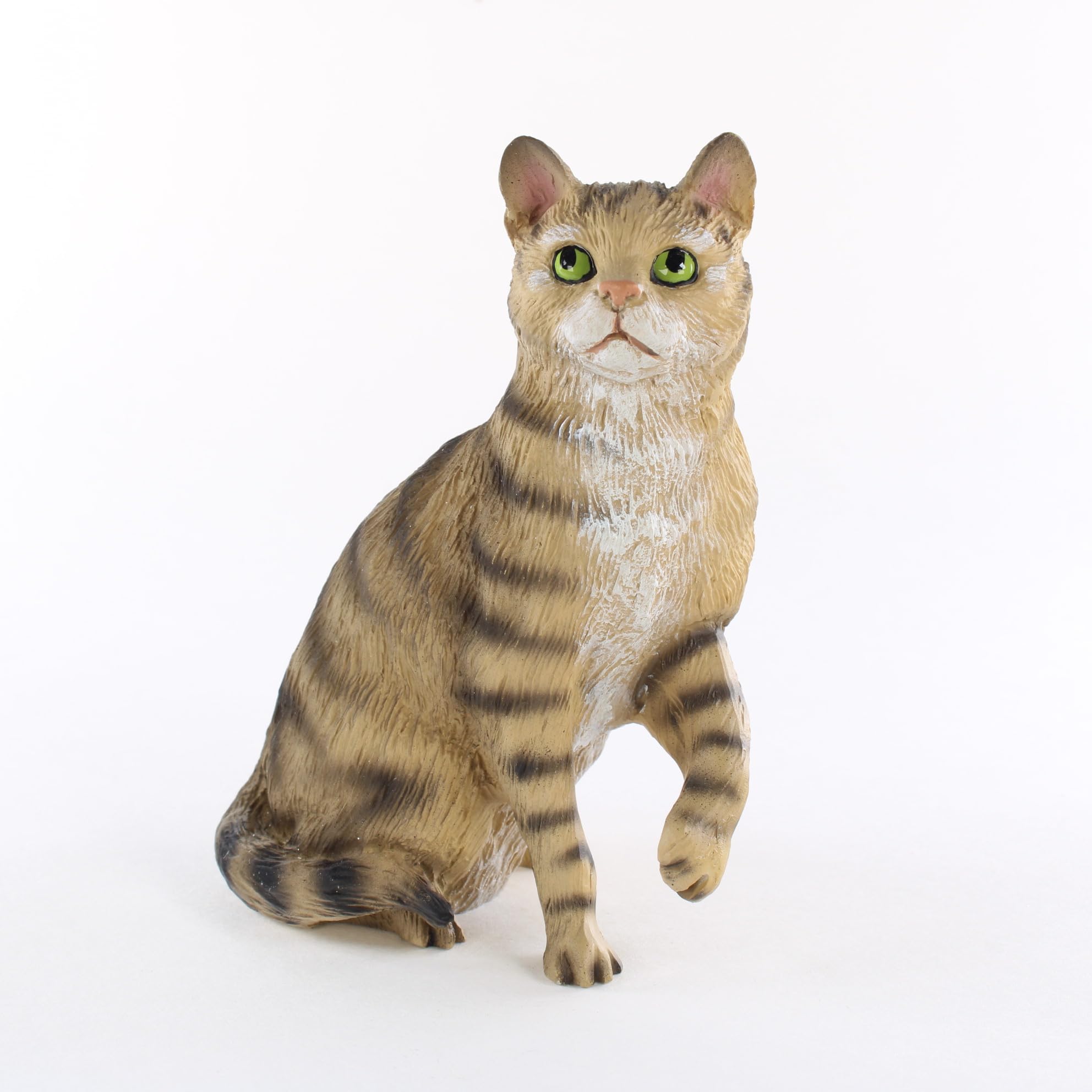 tabbyページ Amazon.com: Conversation Concepts Shorthair, Brown Tabby Original