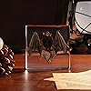 Product Photo 9