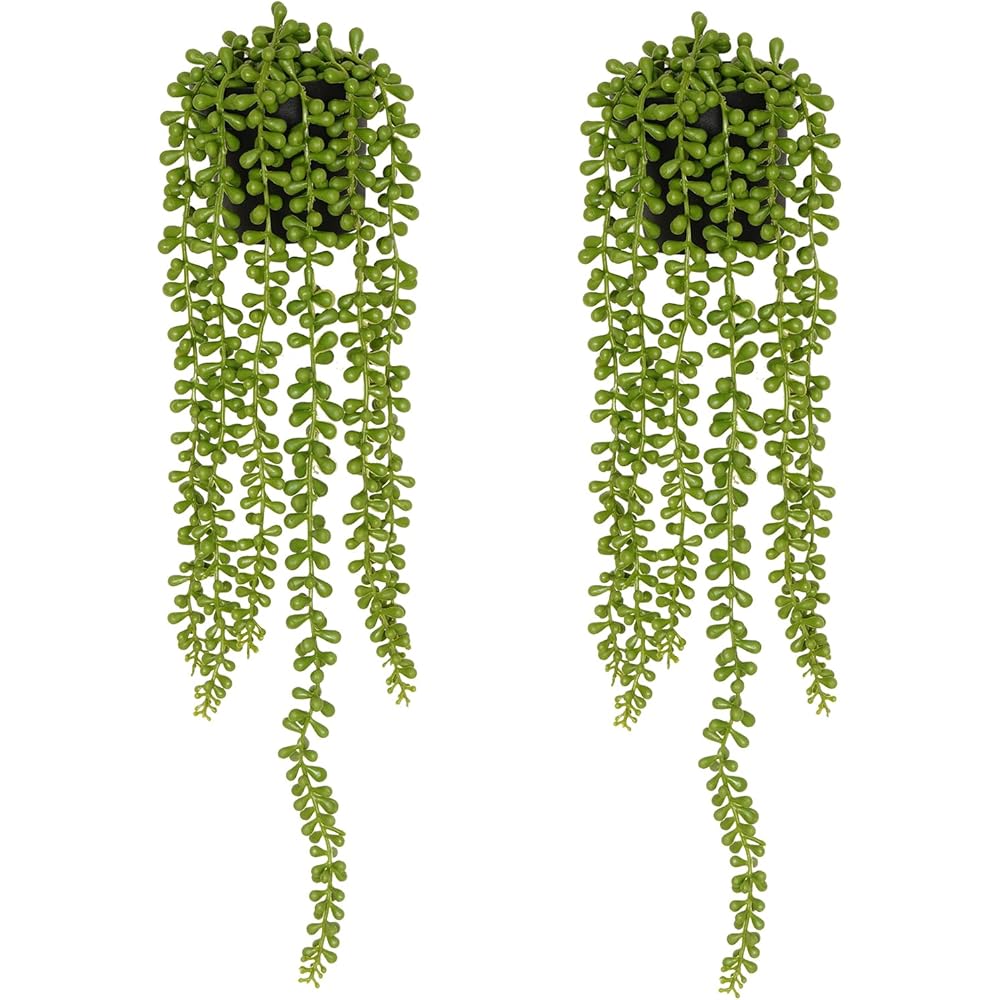 3/mo Finance MARTINE MALL 2 Packs Artificial String of Pearls Plants