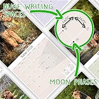 Vista 646 de Razas de Perros 2017